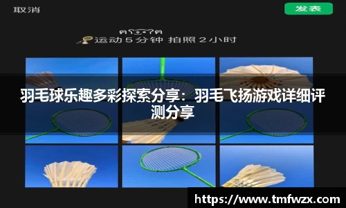 羽毛球乐趣多彩探索分享：羽毛飞扬游戏详细评测分享