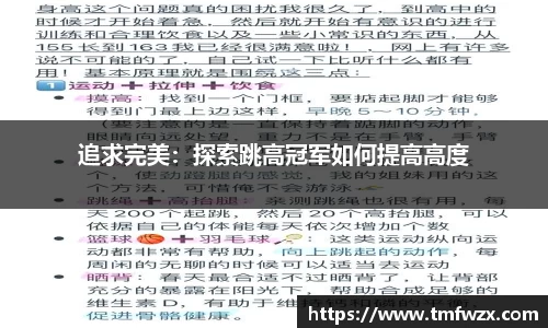 追求完美：探索跳高冠军如何提高高度
